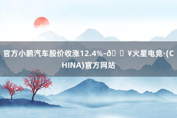 官方小鹏汽车股价收涨12.4%-🔥火星电竞·(CHINA)官方网站
